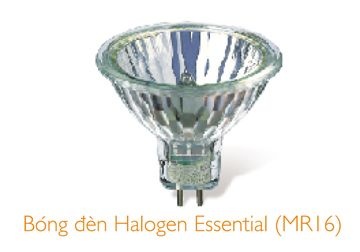 20W Bóng Halogen ESS GU5.3 36D-Không có kính chụp